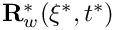 $ {\bf R}^*_w(\xi^*,t^*) $