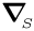 $ \mbox{\boldmath$\nabla$}_{\!\!_S} $