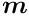 $ \mbox{\boldmath$m$}$