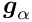 $
 \mbox{\boldmath$g$}_{\alpha} $