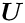 $ \mbox{\boldmath$U$}$