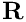 $ \mathbf{R} $