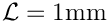 $ {\cal L} = 1\mbox{mm} $